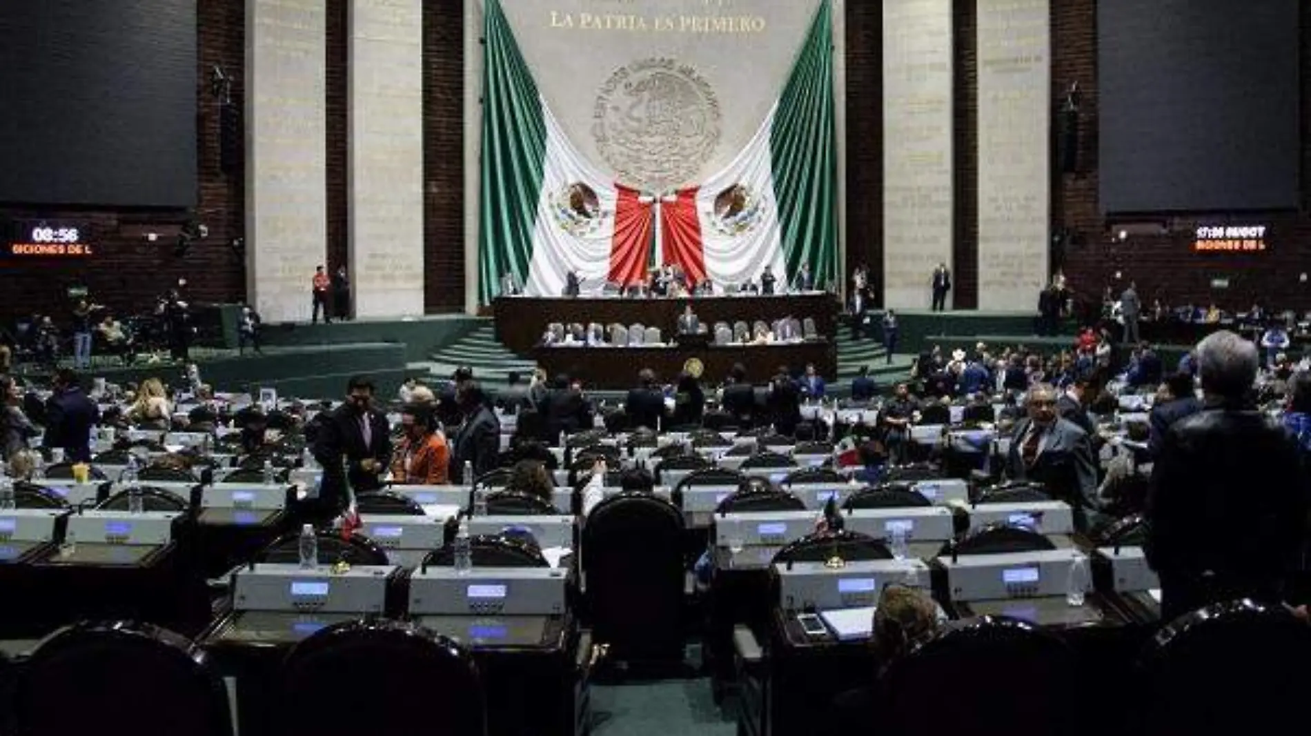 DIPUTADOS FEDERALES